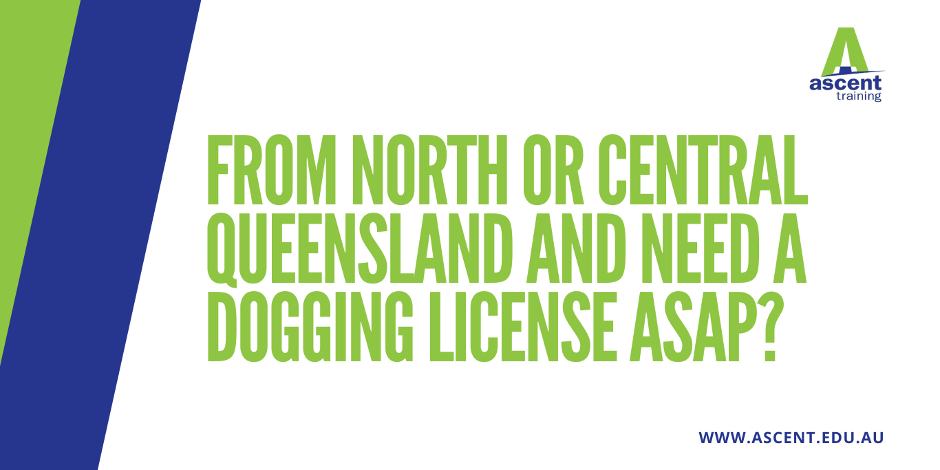 From North or Central Queensland and need a Dogging license ASAP?