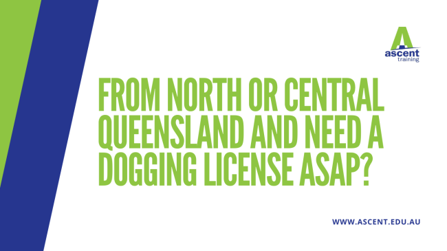 From North or Central Queensland and need a Dogging license ASAP?
