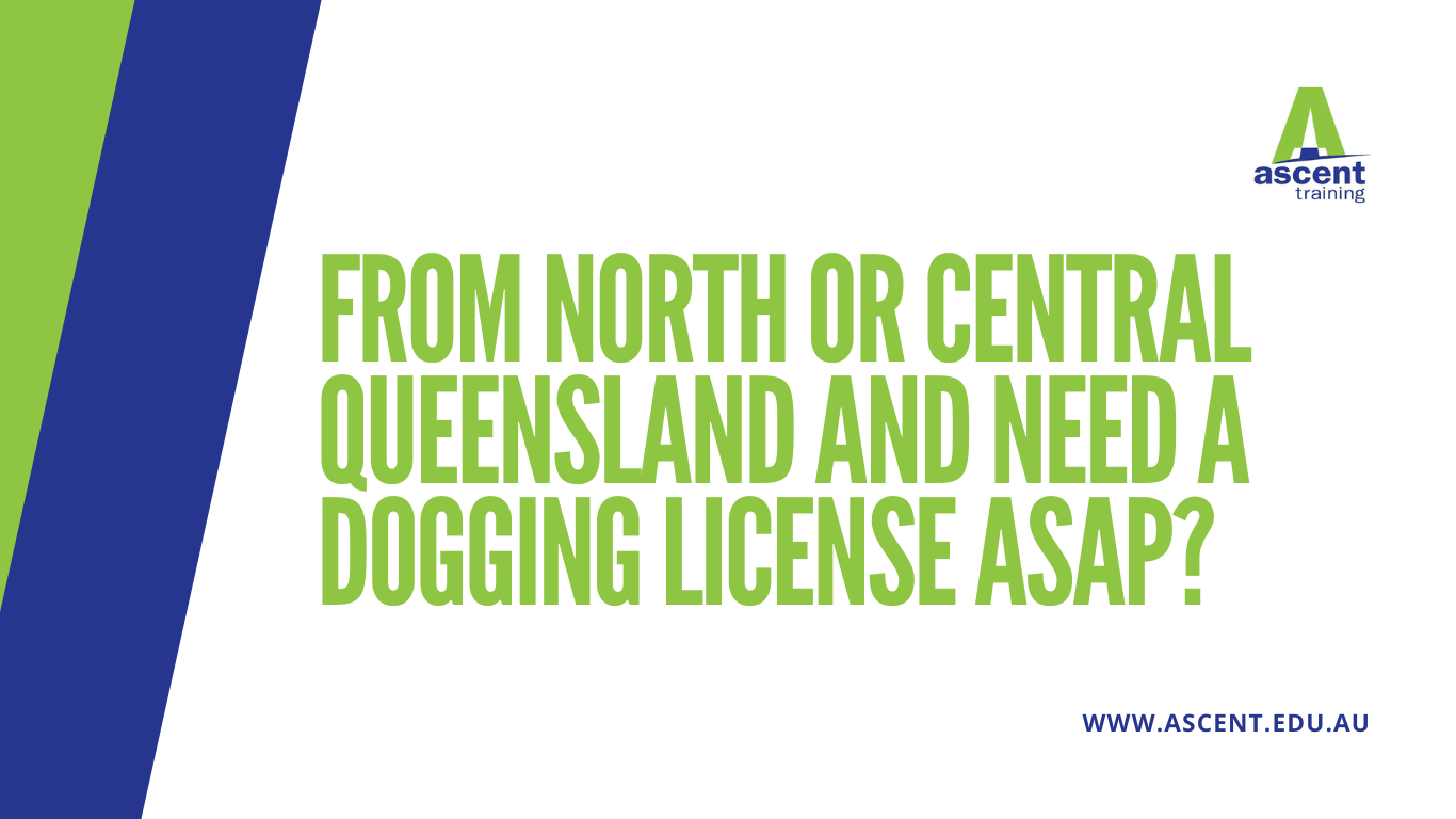From North or Central Queensland and need a Dogging license ASAP?