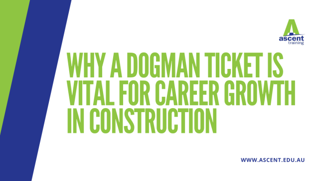 Why a dogman ticket is vital for career growth in construction